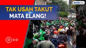 Apa Itu Mata Elang dan Bagaimana Cara Menghadapinya?