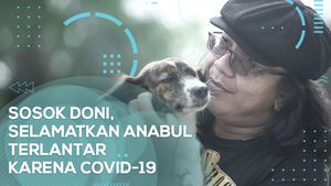 Sosok Doni Penolong Anabul Terlantar di Kala Pandemi COVID-19