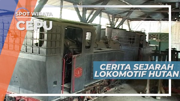 Lokomotif Jerman, Sejarah Kayu Hutan Cepu