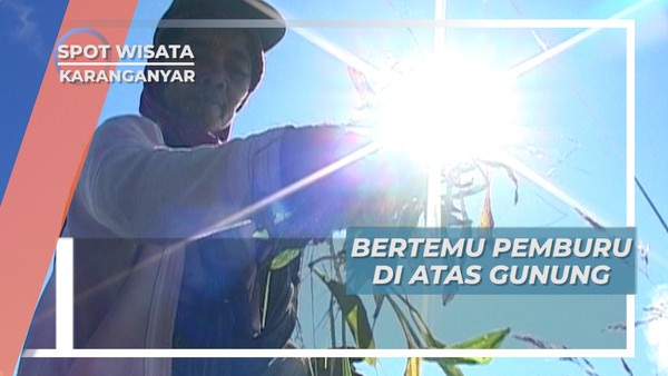 Bercengkrama dengan Sesama Pemburu Tanaman Jamu, Karanganyar