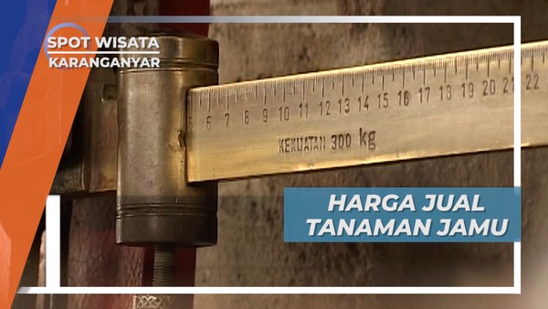 Para Pemburu Tanaman Jamu dan Hasil Jerih Payahnya, Karanganyar