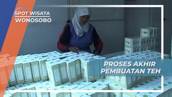 Jelajah Alam Wonosobo, Tahap Akhir Pembuatan Teh Kemasan