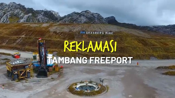 Gencarkan Restorasi Lahan, Freeport Tanam Rumput di Eks Tambang Grasberg