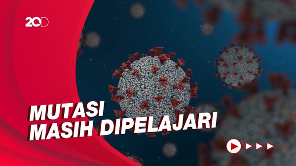 Afrika Selatan Temukan Varian Corona Baru, Namanya C.1.2