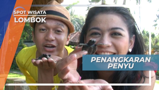 Mengunjungi Tempat Penangkaran Penyu Yang Ada di Hotel, Lombok