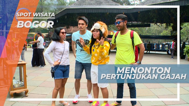 Menyaksikan Pertunjukan Atraksi Gajah, Bogor