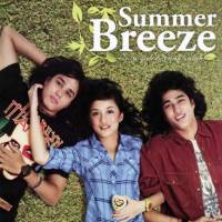 Summer Breeze (2008)