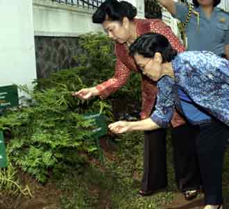 Ibu Ani Tinjau Taman Herbalia