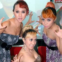 Sengketa Nama Trio Macan, Munculkan Tiga Macan
