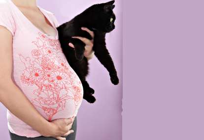 Hewan Peliharaan Bisa Mendeteksi Kehamilan