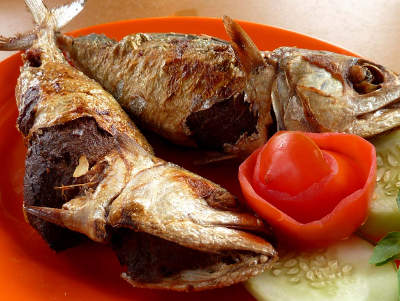 Resep Ikan: Kembung Betelok