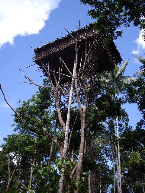 Rumah Pohon dan Suku Korowai, Mutiara Berharga dari Papua