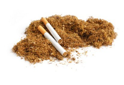 Industri Rokok Selalu Berkedok Melindungi Petani Tembakau