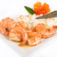 Penyakit Pada Udang Tidak Berbahaya Bagi Manusia Penyakit Pada Udang Tidak Berbahaya Bagi Manusia