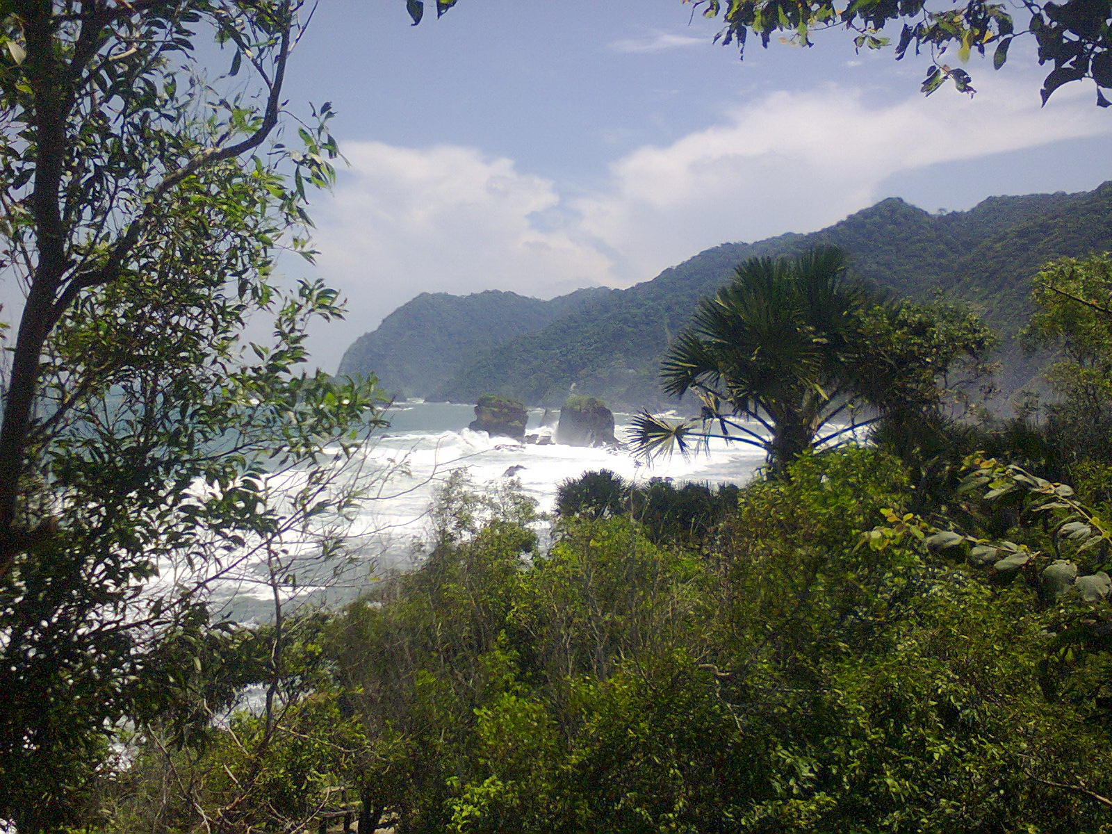 Tanjung Papuma Pantai dengan Karang Eksotis di Jember  Jatim