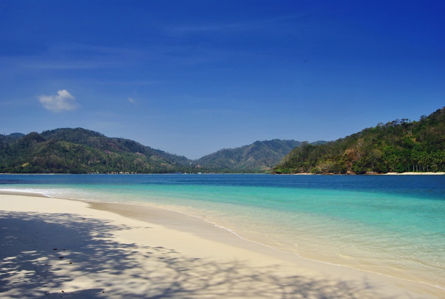 Keindahan Bawah Laut Teluk Kiluan