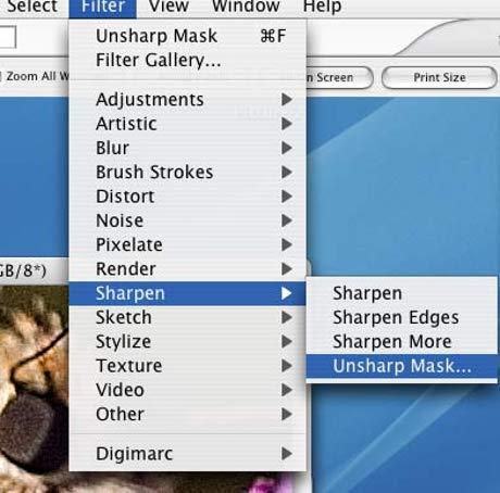 Menajamkan Foto dengan Filter Unsharp Mask