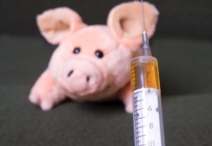 Apakah vaksin mengandung babi