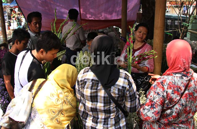  Sedap  Malam  Bunga  Favorit Saat  Lebaran  Foto 3