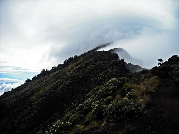 Kebakaran Hutan Padam, Gunung Rinjani Aman Untuk Pendakian