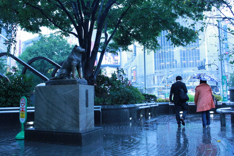 Monumen Anjing Hachiko & Kesetiaan yang Mengharukan