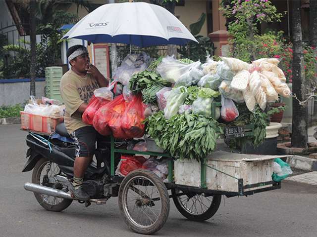 Motor Gerobak Sayur