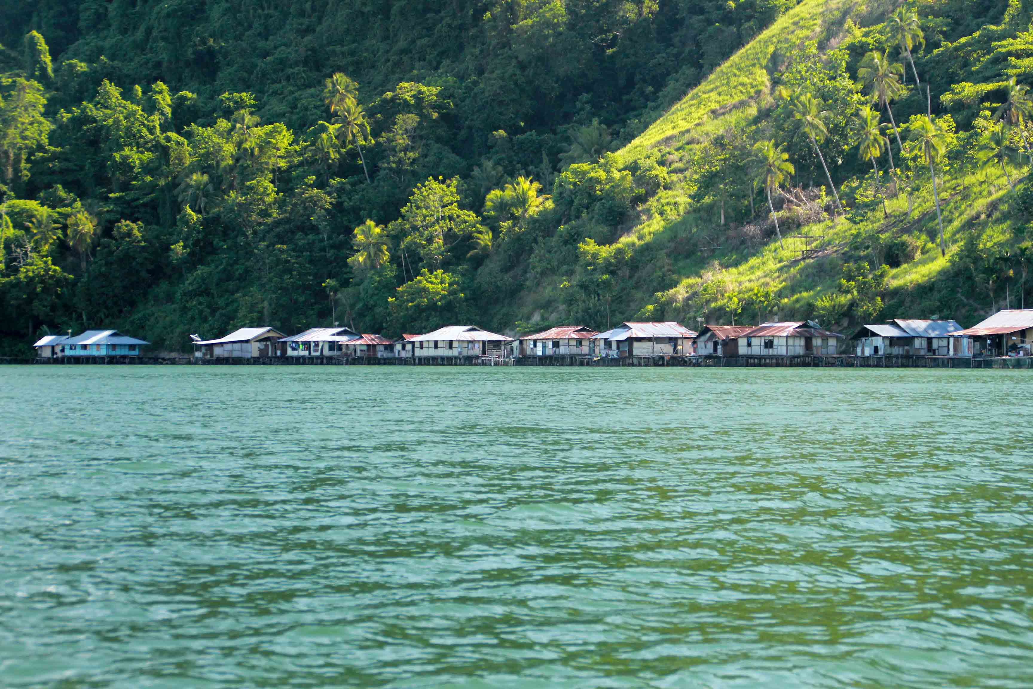 Damainya Hidup Di Danau Sentani