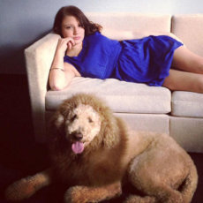 Duh Mirip Singa Anjing Ini Bikin Panik Warga Virginia As