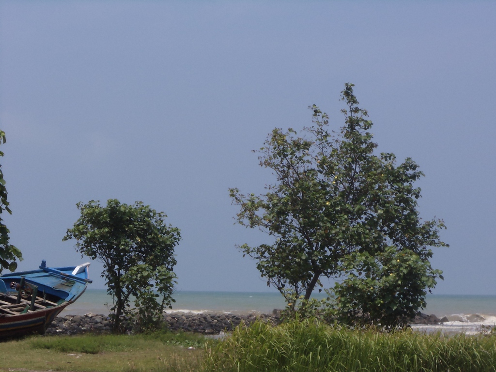 Pesona Pantai Pantai Tegal