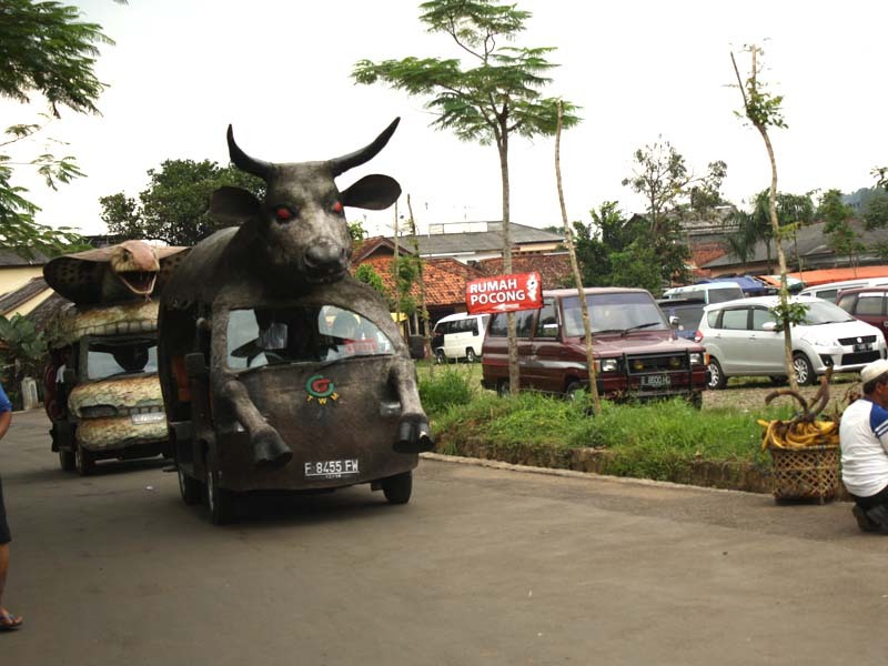 Naik Ular Raksasa Sampai Banteng Di Taman Wisata Matahari