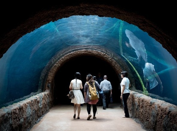 Akuarium Air Tawar Terbesar Sedunia Dibuka di Singapura