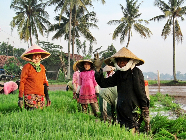 Orang indonesia