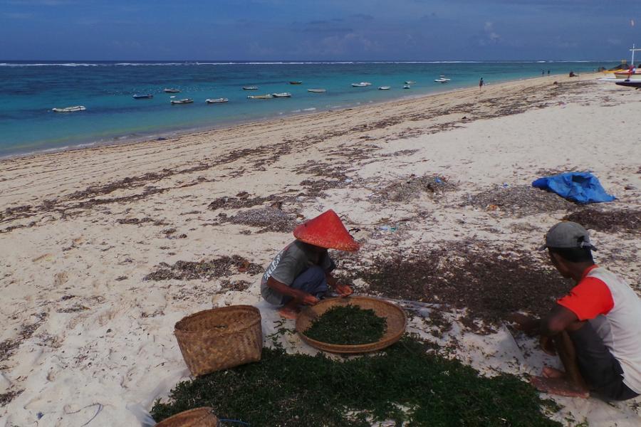  Pantai Rahasia di Bali Pantai Pandawa