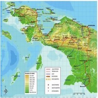 Wah, di Perbatasan RI dan Papua Nugini Banyak Tersimpan Emas dan Minyak