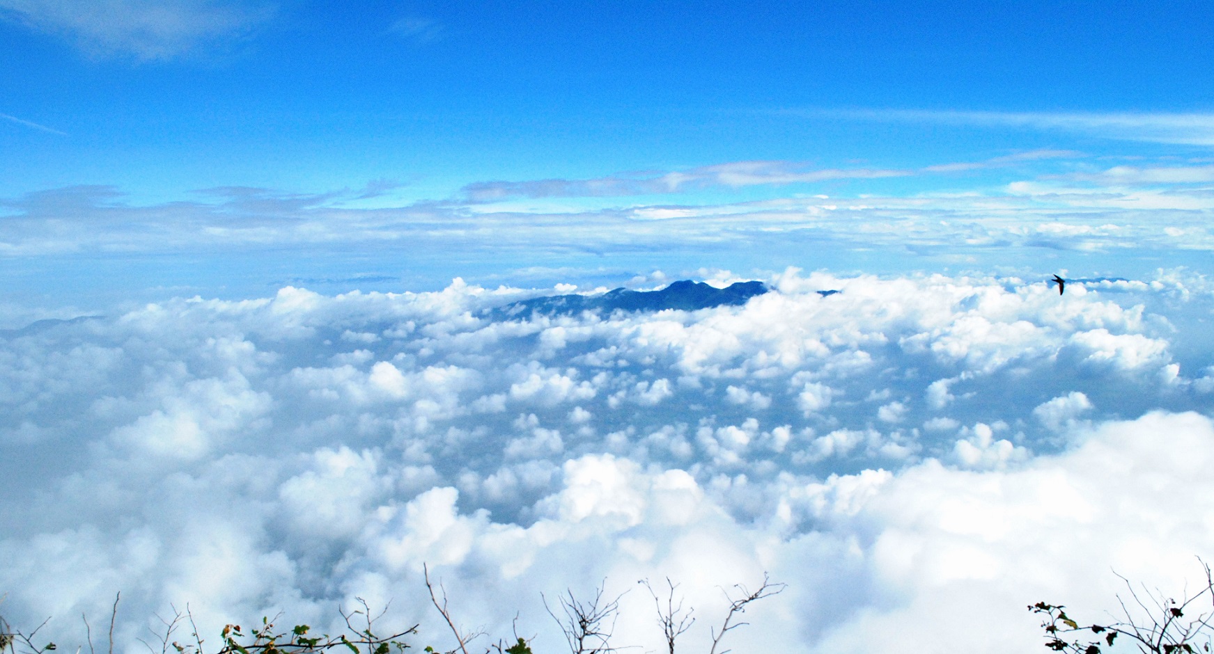 Permadani Awan di Gunung Cikuray, Garut