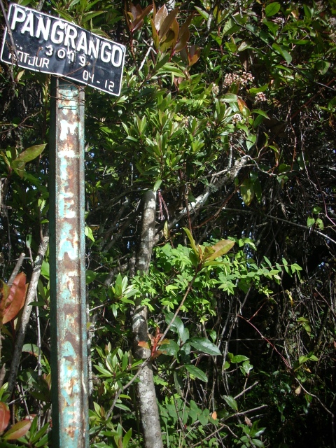 Mendaki Gunung Favorit Soe Hok Gie