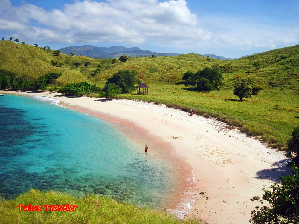 Pantai Pink di Pulau Komodo, Bikin Jatuh Hati!