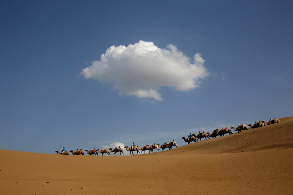 Unik Ada Padang  Pasir  Bersuara Mesin Mobil  di Mongolia