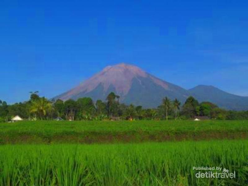 Jauh Atau Dekat Semeru Tetap Gagah