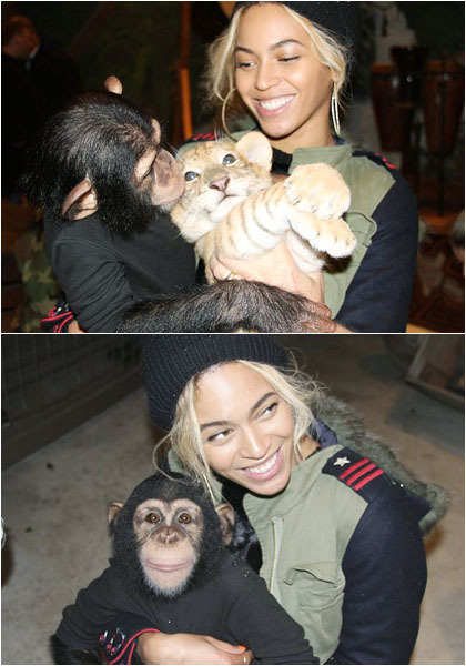 Rayakan Ultah ke-2 Blue Ivy, Beyonce Sewa Kebun Binatang