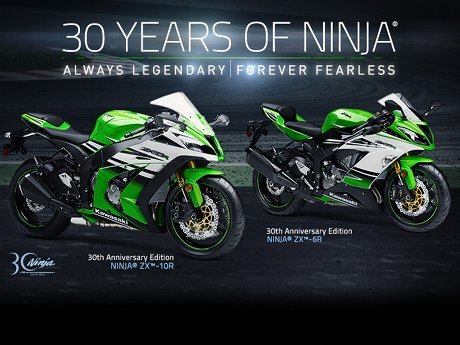 Kawasaki on sale ninja 30