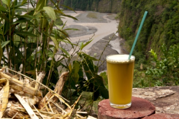 resep alkohol minuman Caldo Murni Khas Cana, Manis Segar de Sari Tebu Brazil resep alkohol minuman Caldo Murni Khas Cana, Manis Segar de Sari Tebu Brazil