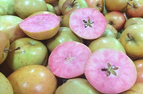 Supermarket Tesco Inggris Jual Apel dengan Daging Buah Berwarna Pink 