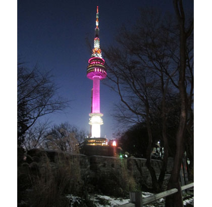 Melihat Indahnya Pemandangan Malam Hari di Namsan Park ...