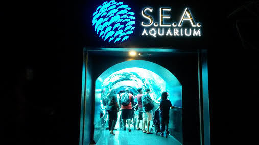 Kena Badai Tenggelam ke Dasar Laut di S E A Aquarium 