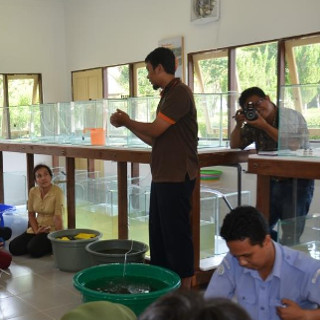 Gaji Penyuluh Perikanan - Hore Jokowi Naikkan Tunjangan ...