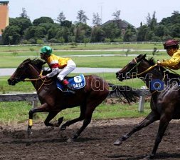 Dki Jadi Tuan Rumah Asian Games Pacuan Kuda Pulomas Bersolek