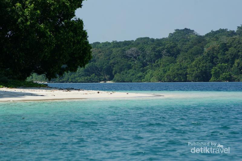 Melihat Hewan Eksotis Asli Jawa Di Taman Nasional Ujung Kulon