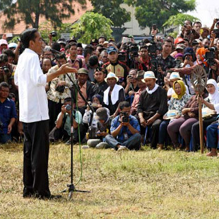 Jokowi Ingin Swasembada Beras, 3 Menteri Ini Makin Kompak