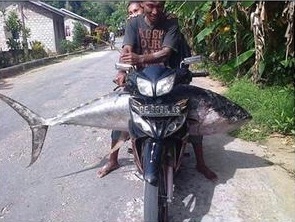 Tuna Reksa Kalau Ditolak Jepang, Tuna 'Raksasa' RI Masih Laku Diekspor AS dan Eropa